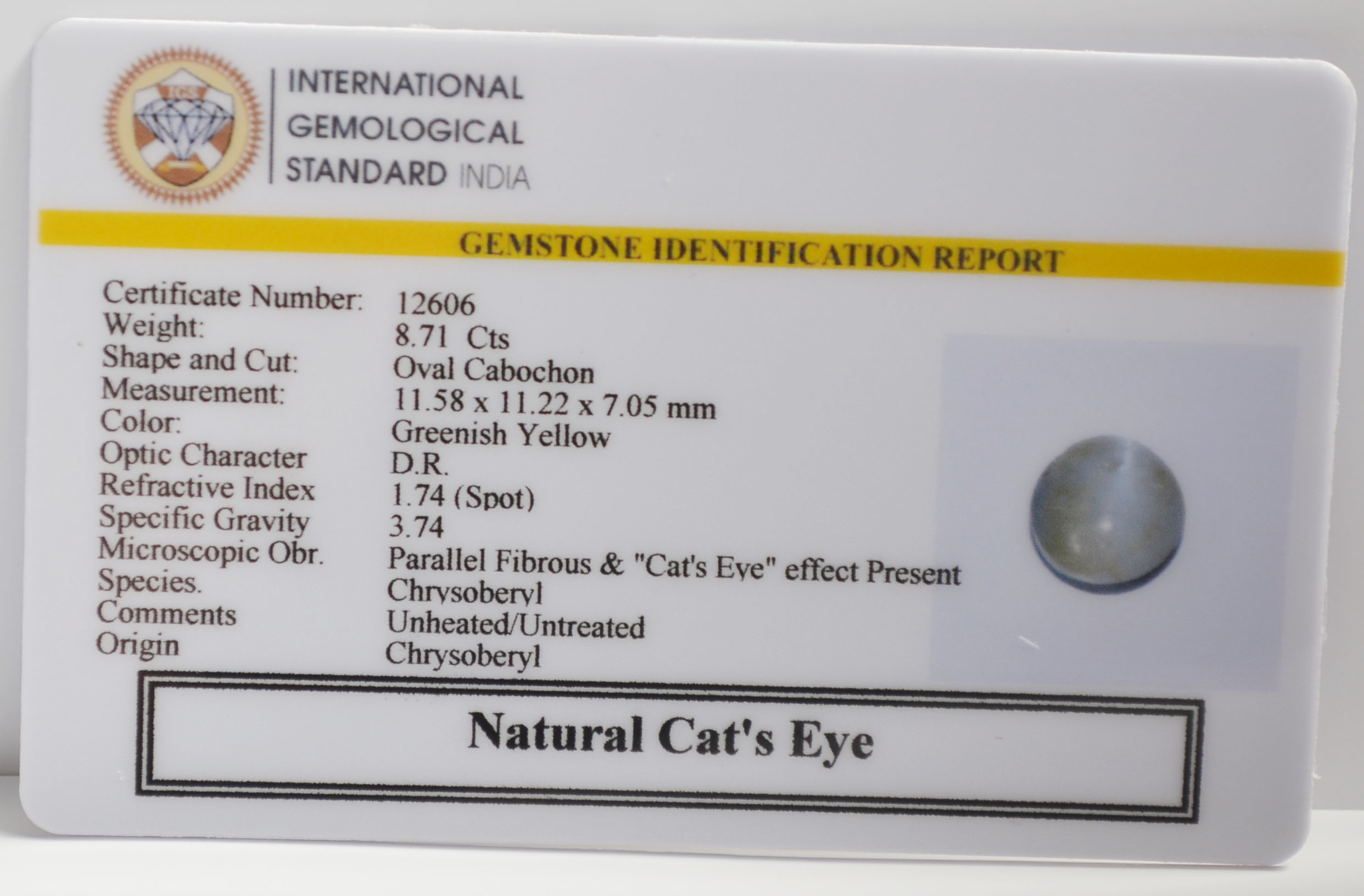 CE2874 2 CATS EYE 8.71 Ct.