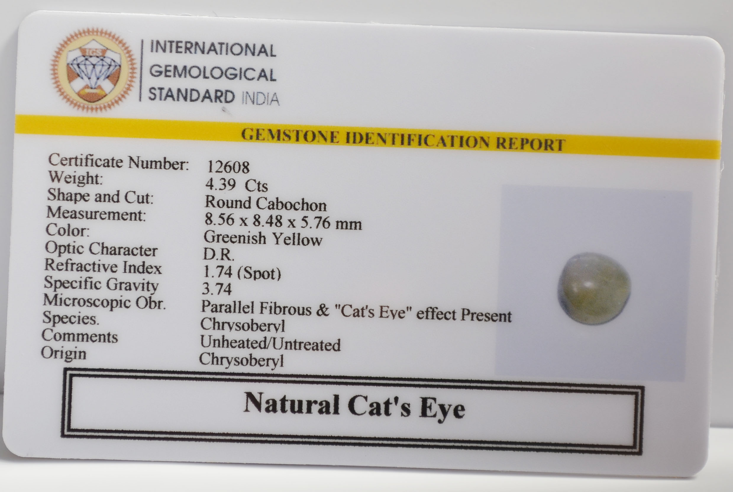 CE2876 2 CATS EYE 4.39 Ct.