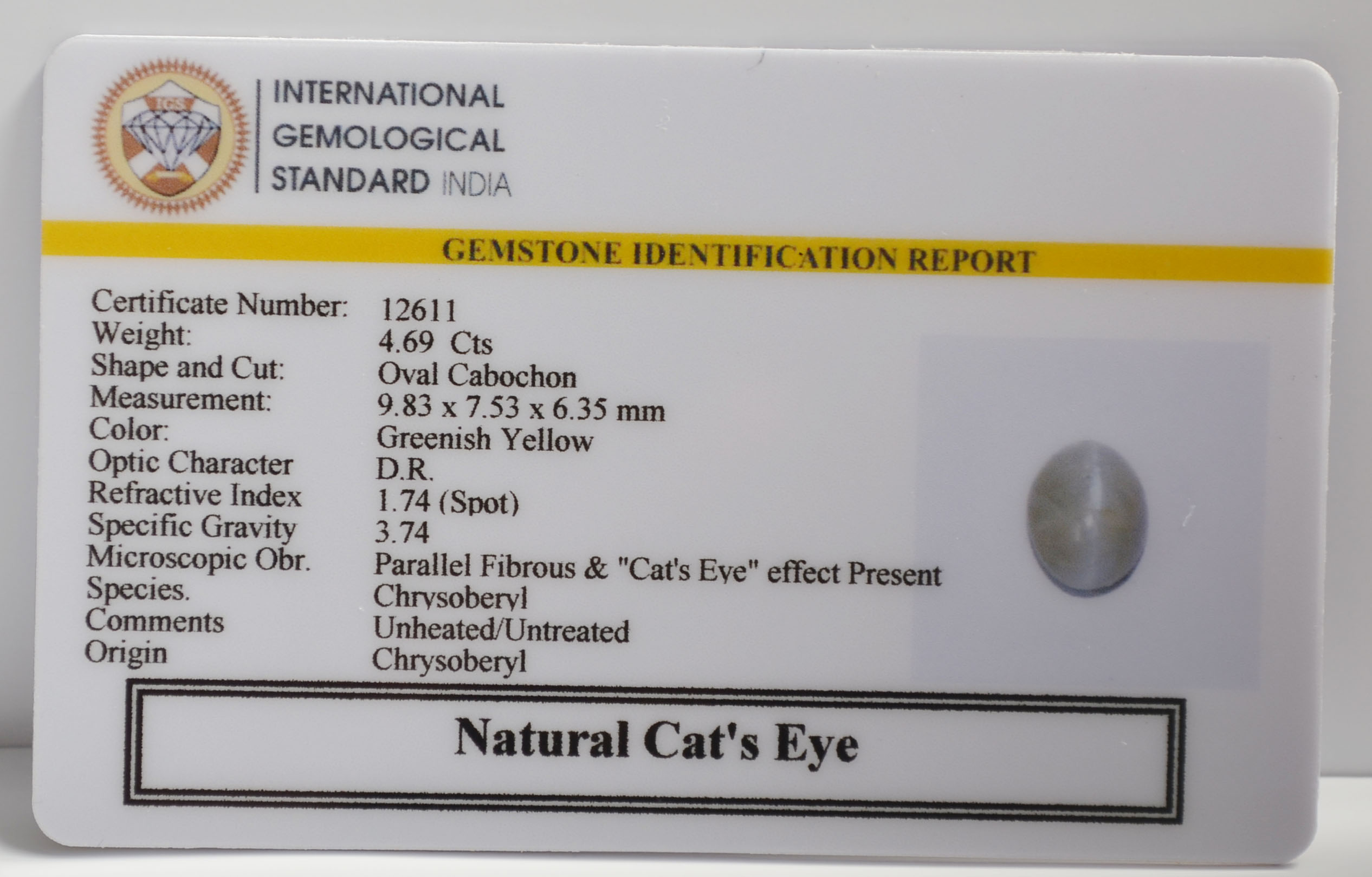 CE2879 2 CATS EYE 4.69 Ct.
