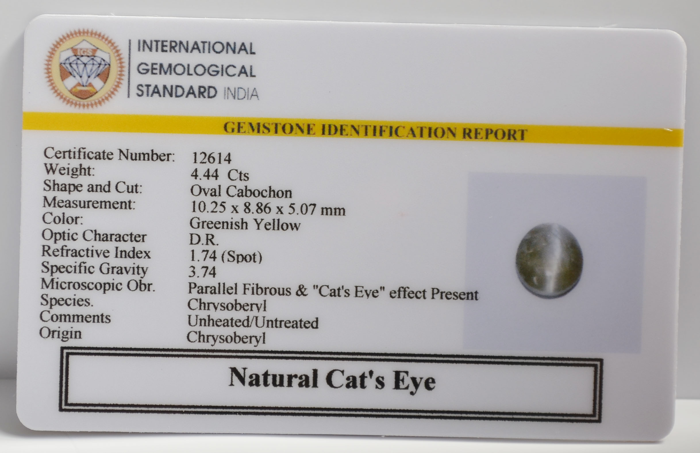 CE2882 2 CATS EYE 4.44 Ct.