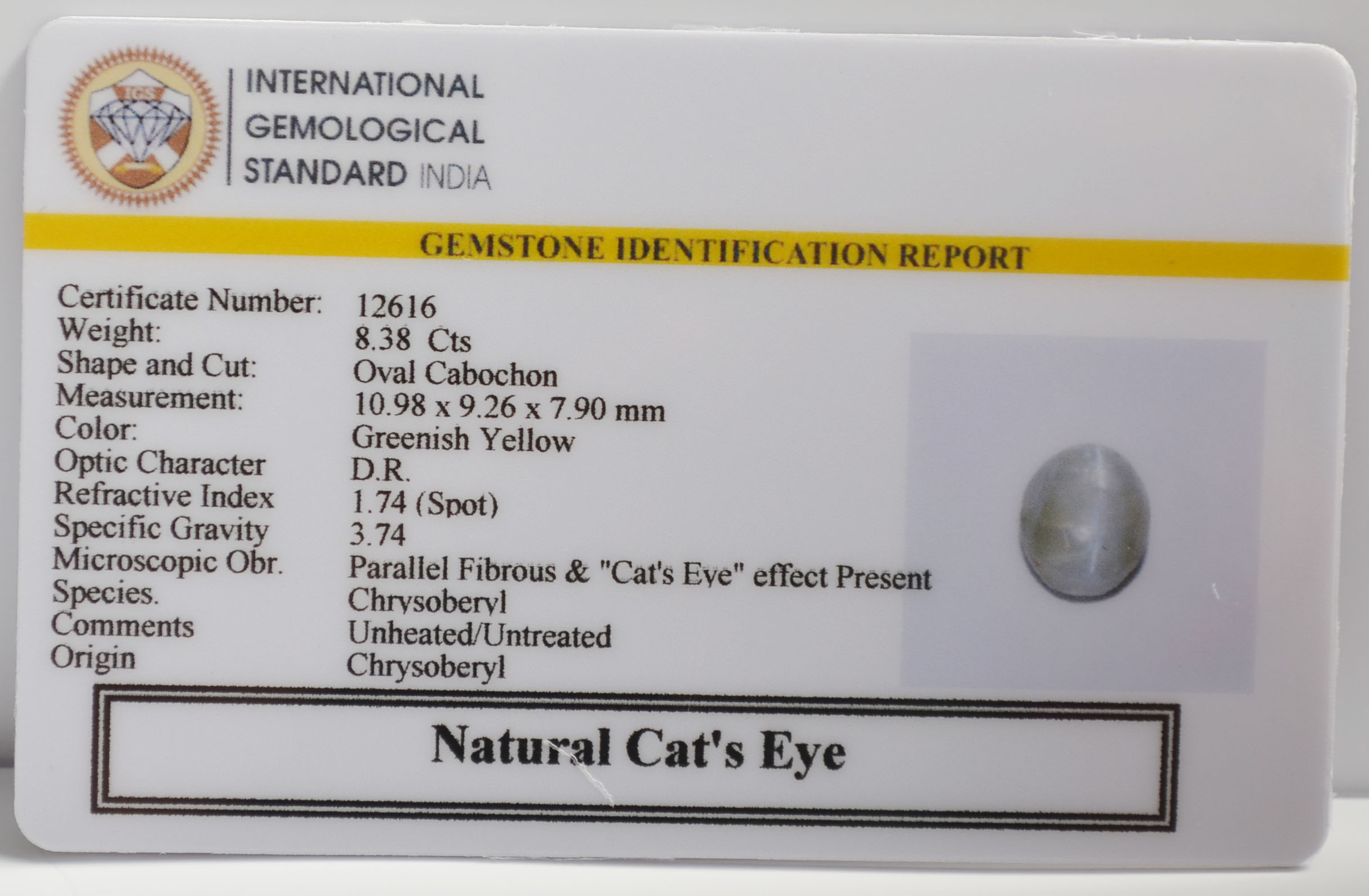 CE2884 2 CATS EYE 8.38 Ct.
