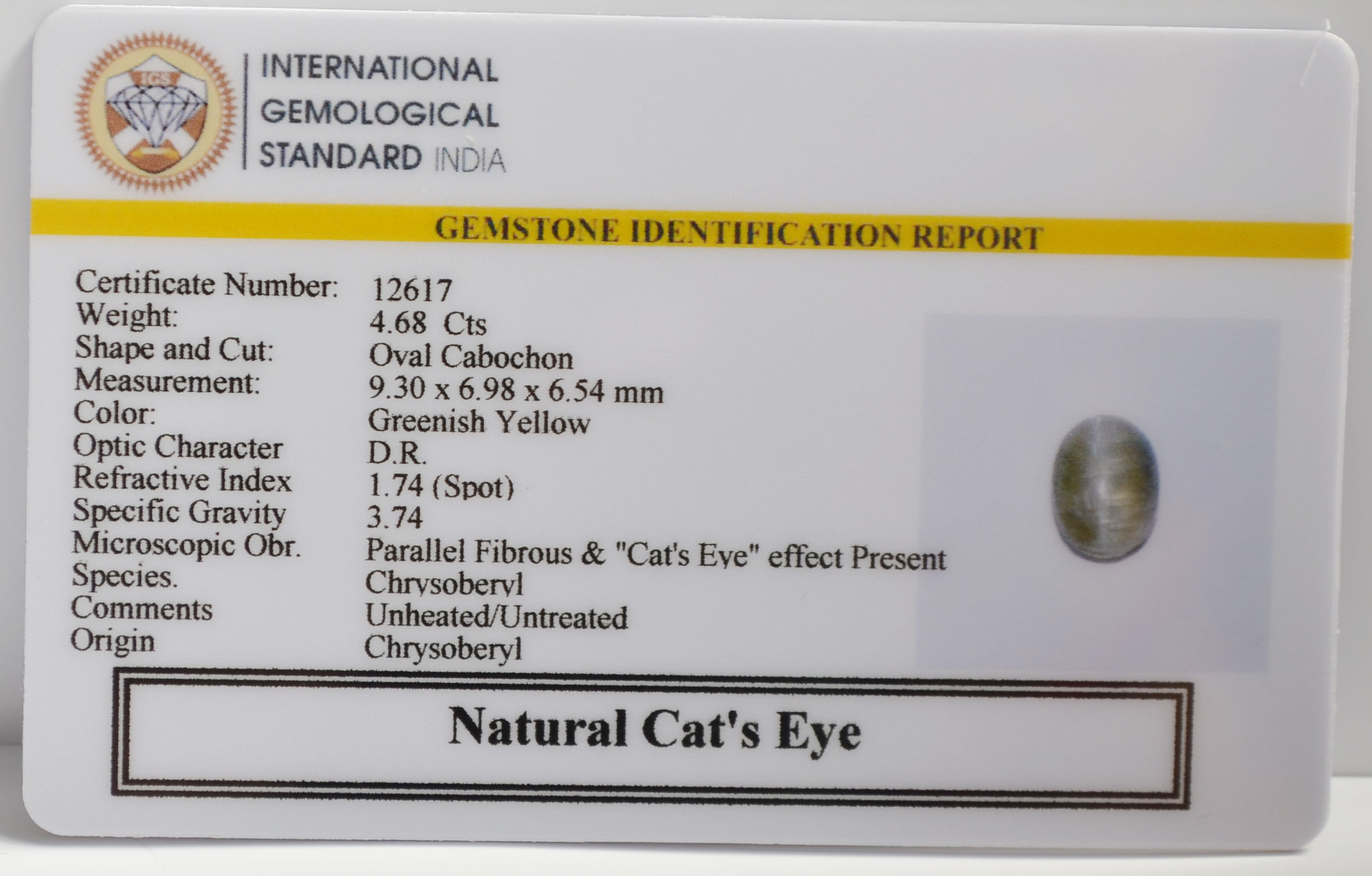 CE2885 2 CATS EYE 4.68 Ct.