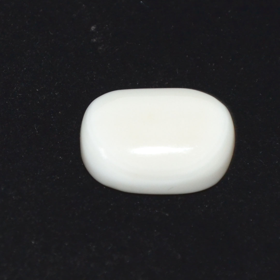 WHITE CORAL 12.88 Ct.