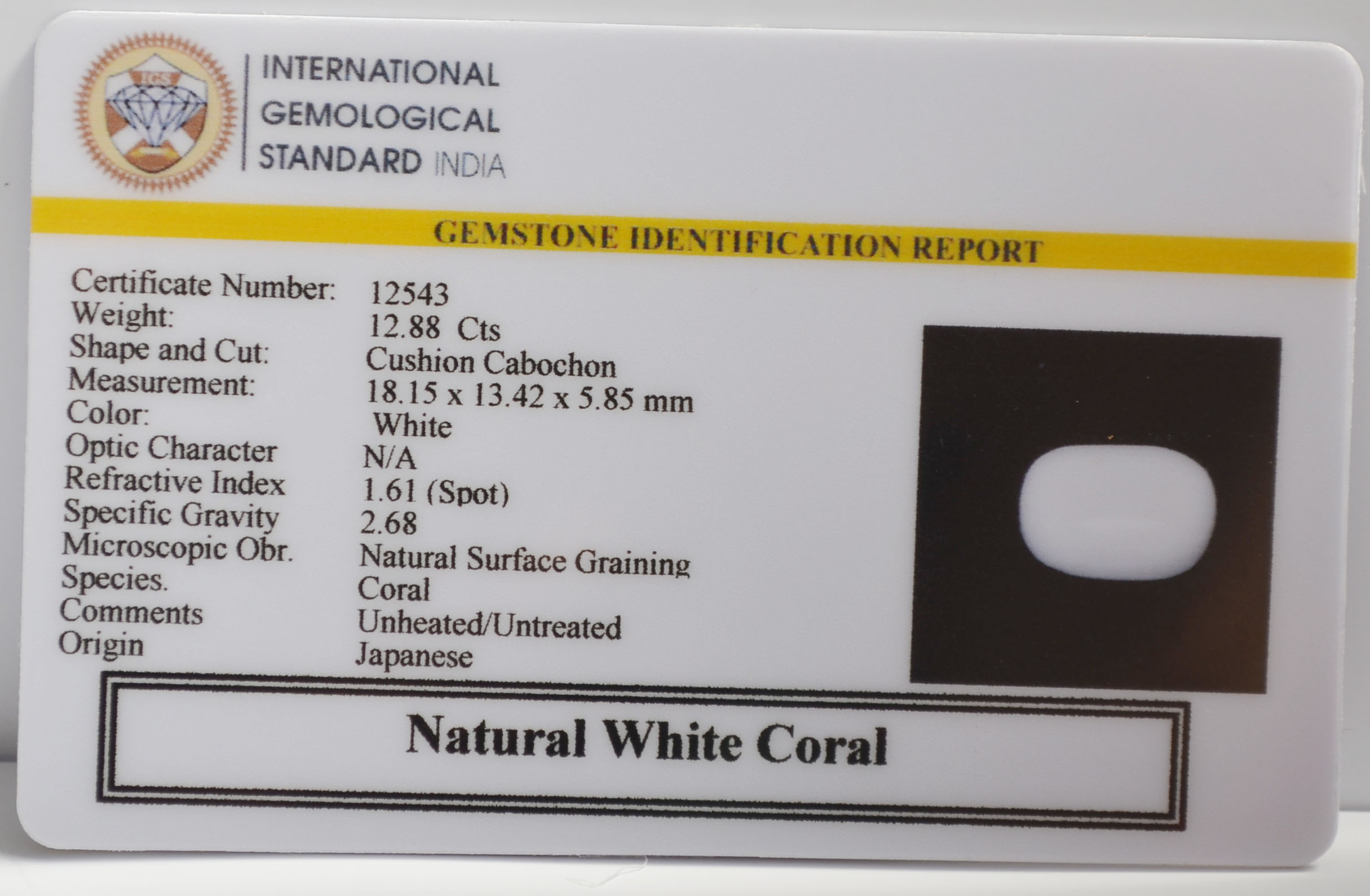WC453 2 WHITE CORAL 12.88 Ct.