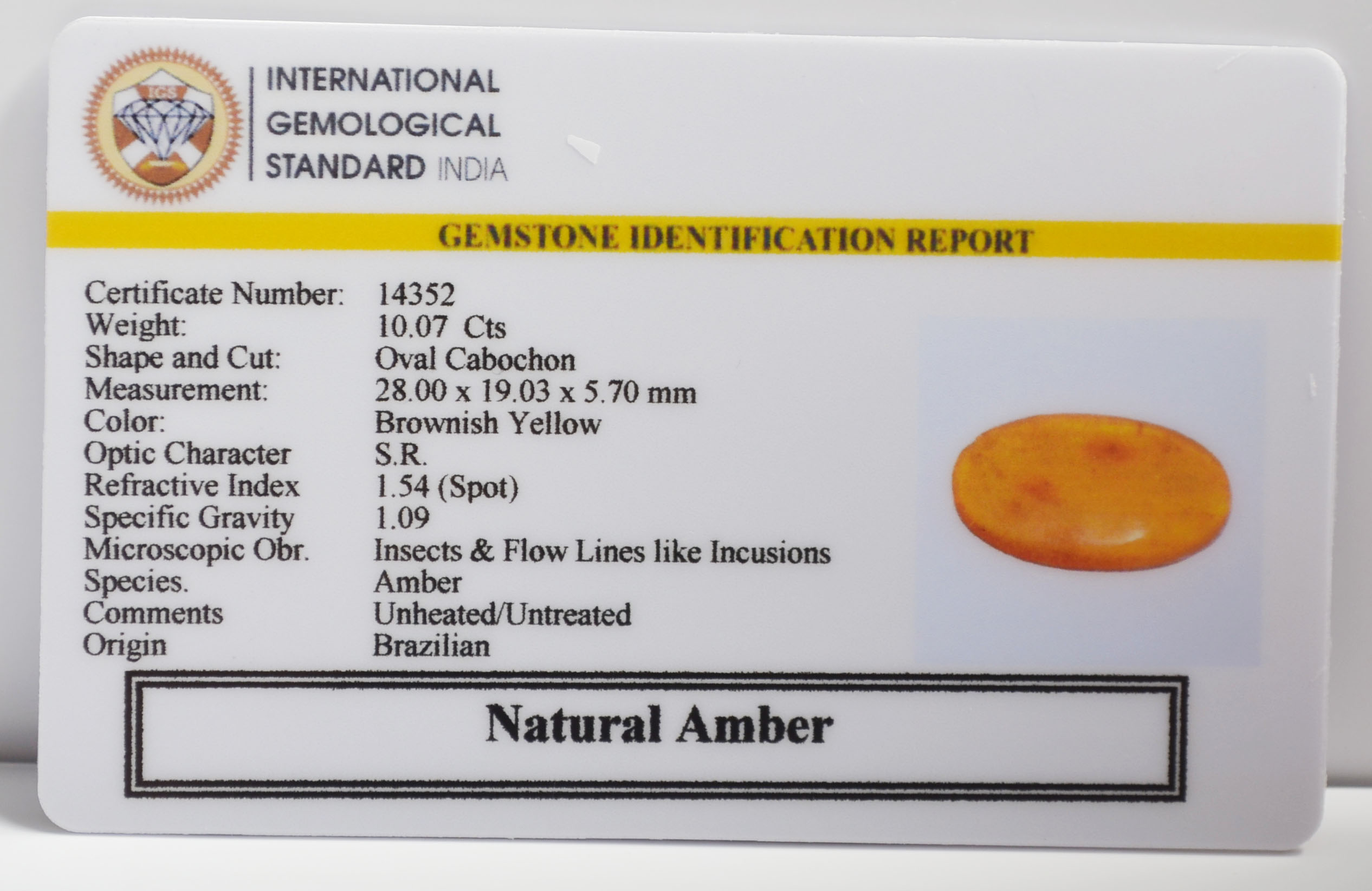 AMBER 10.07 Ct. 3 AMB106 2 AMBER 10.07 Ct.