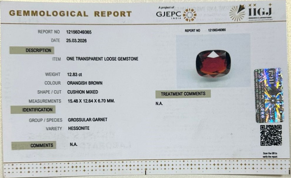 GMD7770 2 HESSONITE GOMED 12.83 Ct.