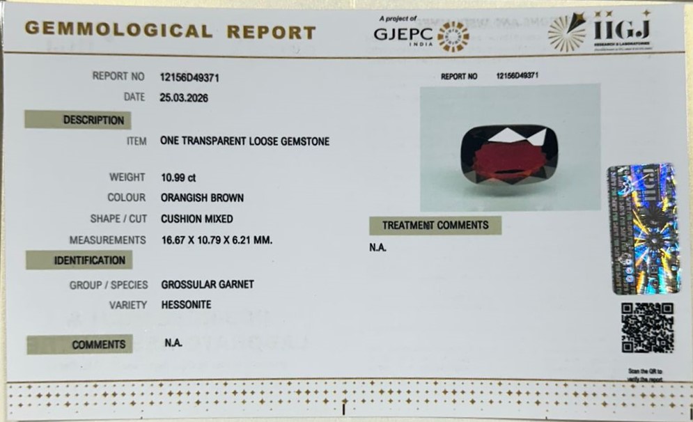 GMDG7387 2 HESSONITE GOMED 10.99 Ct.