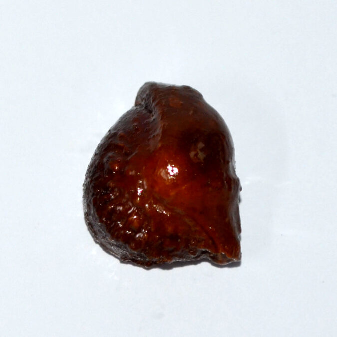 MACHH255K 1 MACHH MANI 25.4 Ct.