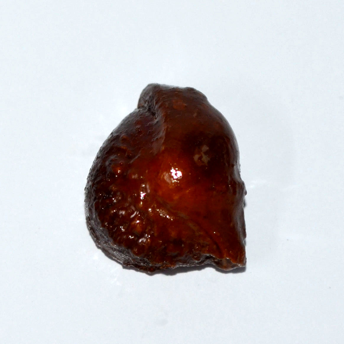 MACHH MANI 25.4 Ct.