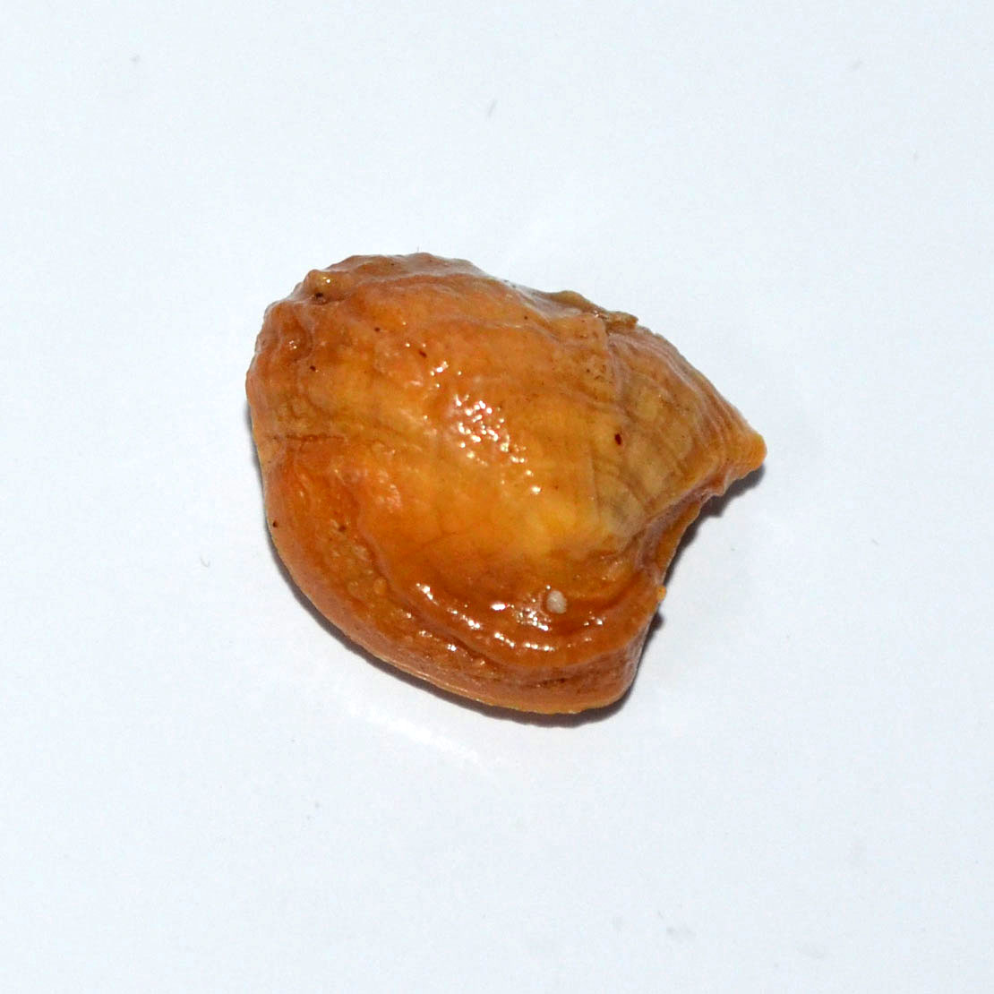 MACHH MANI 19.58 Ct.