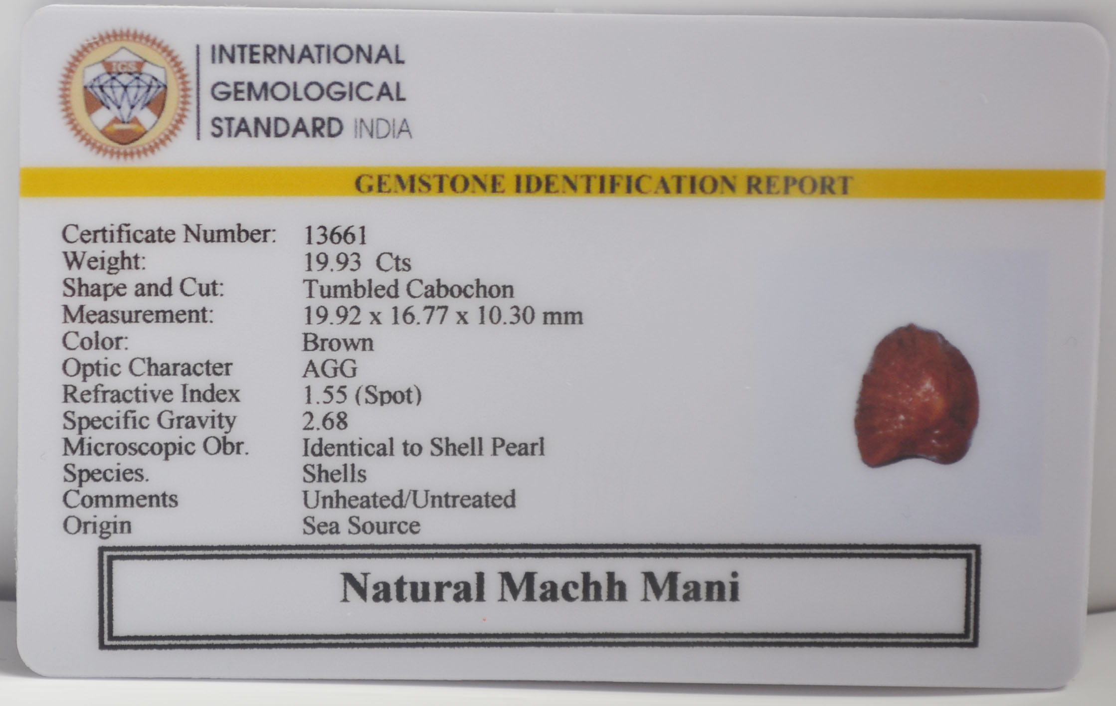 MACHH257K 2 MACHH MANI 19.93 Ct.