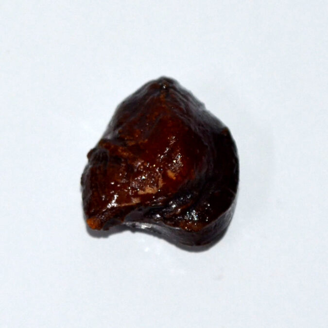 MACHH258K 1 MACHH MANI 19.86 Ct.