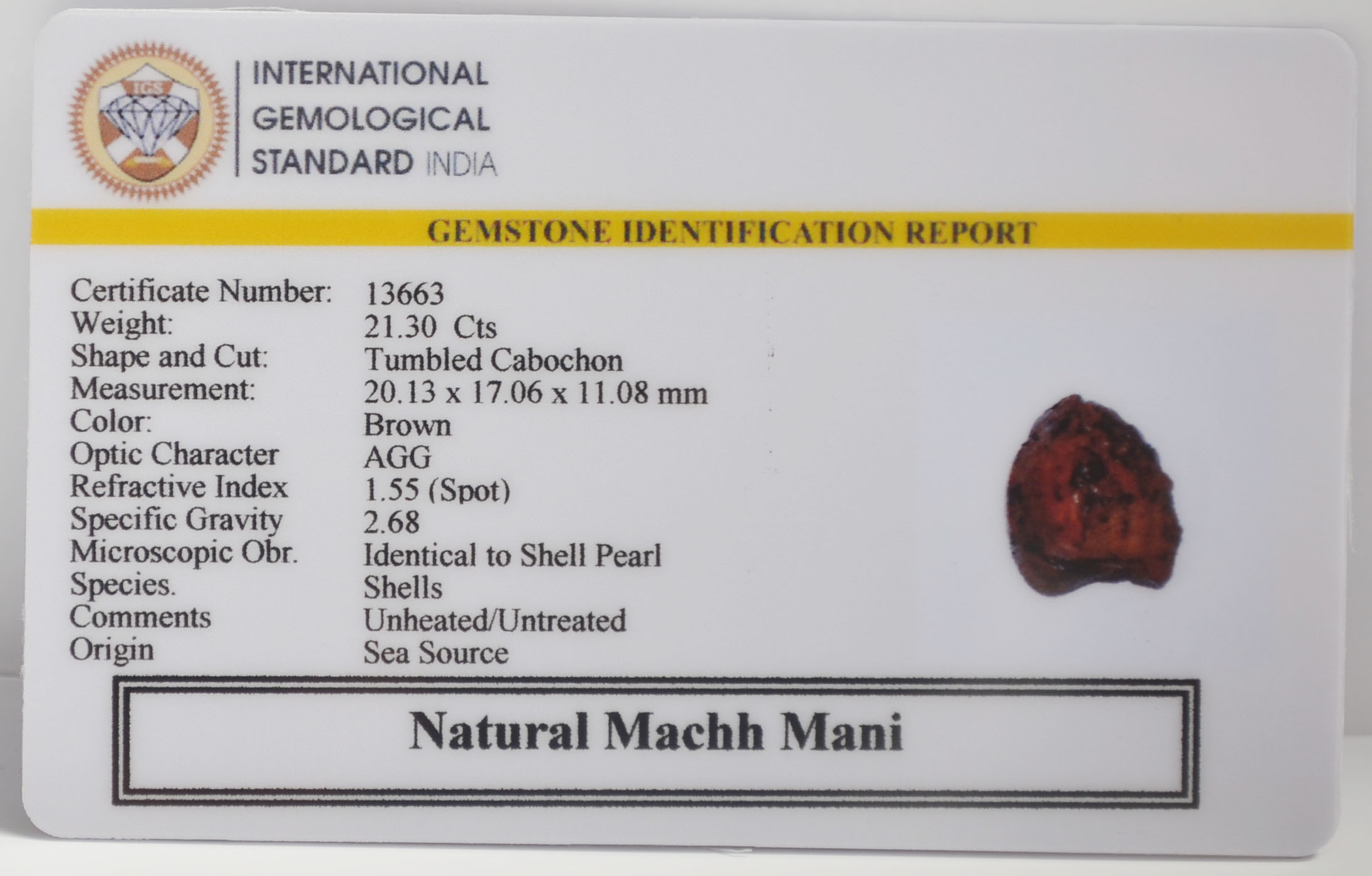 MACHH259K 2 MACHH MANI 21.3 Ct.