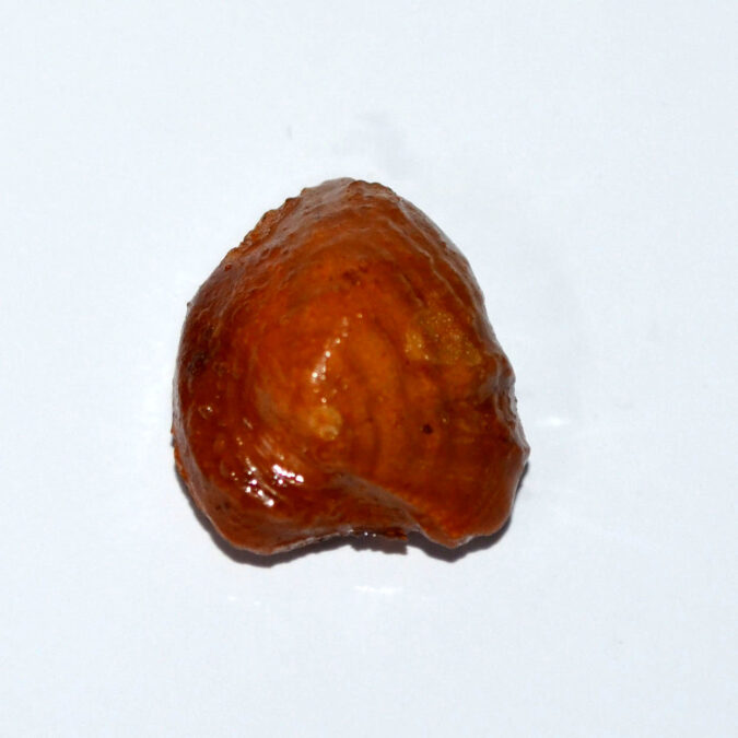 MACHH260K 1 MACHH MANI 20.76 Ct.