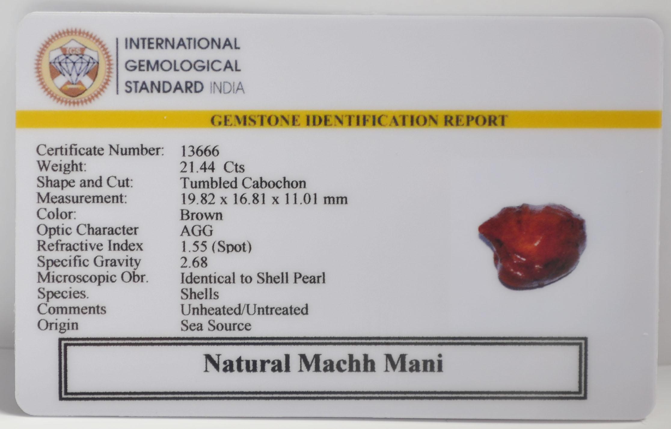 MACHH262K 2 MACHH MANI 21.44 Ct.