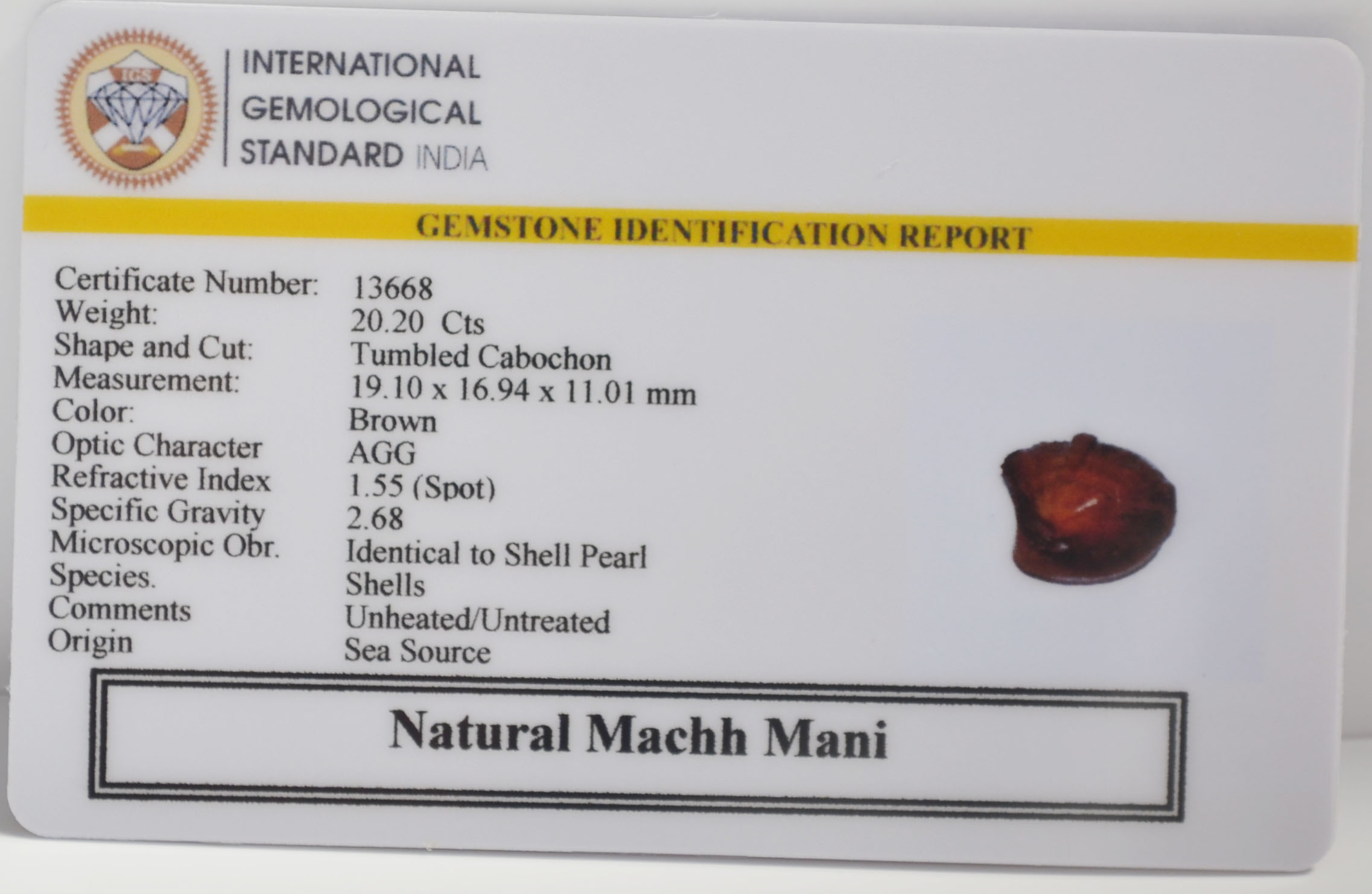 MACHH263K 2 MACHH MANI 20.2 Ct.