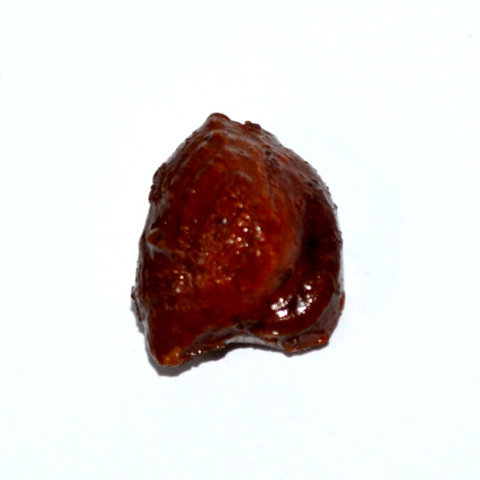 MACHH MANI 21.74 Ct. 1 MACHH266K 1 MACHH MANI 21.74 Ct.