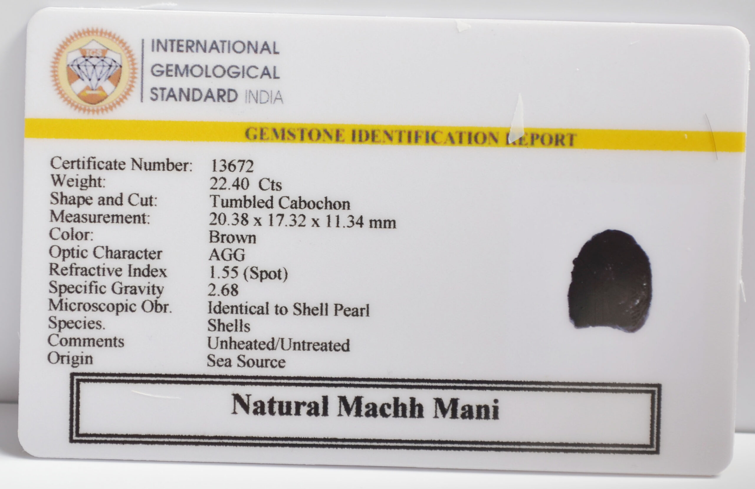 MACHH267K 2 1 scaled MACHH MANI 22.4 Ct.