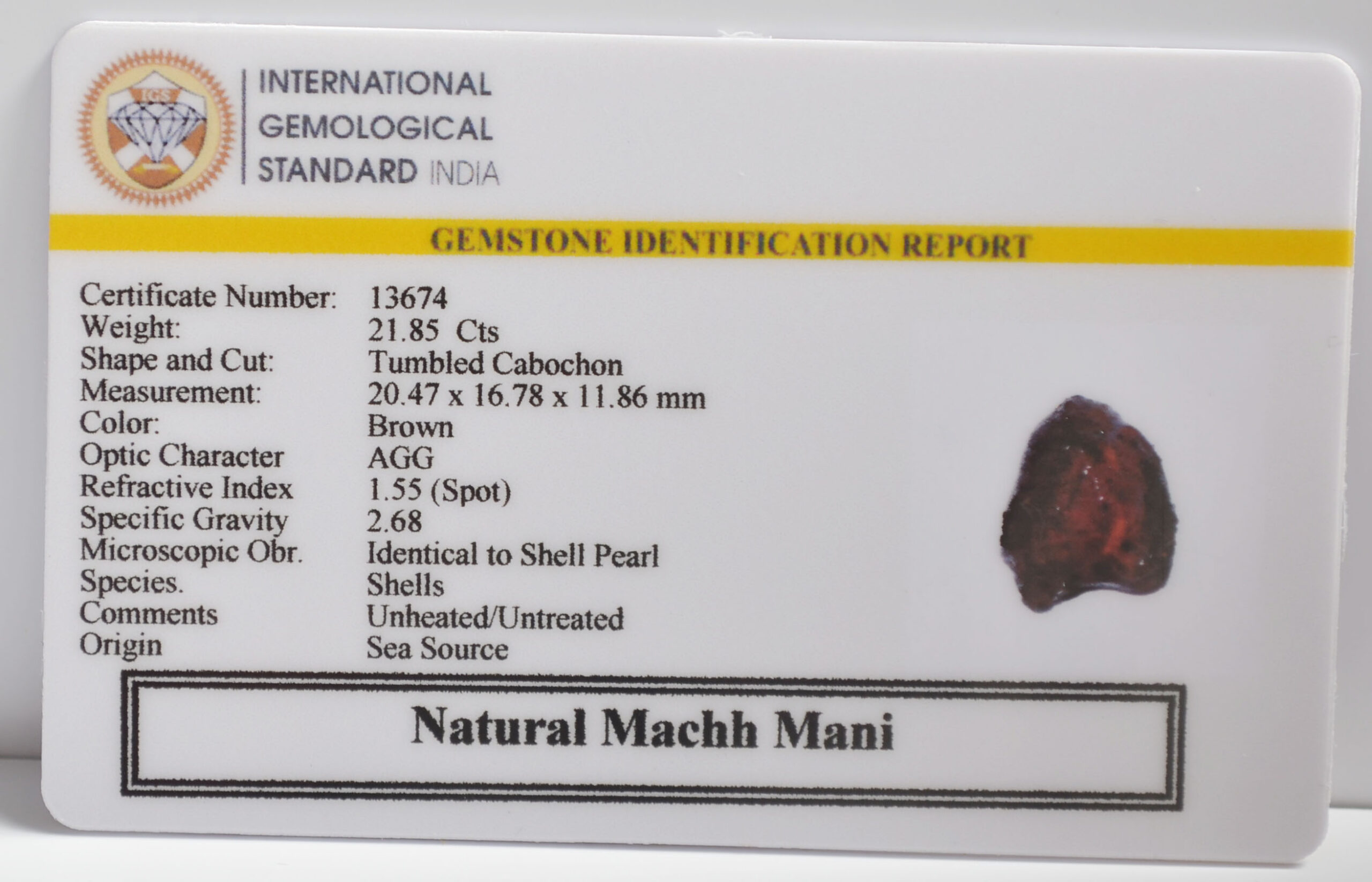 MACHH269K 2 scaled MACHH MANI 21.85 Ct.