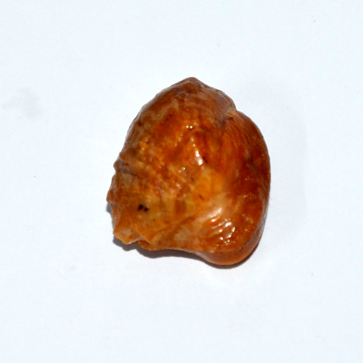 MACHH MANI 20.66 Ct.