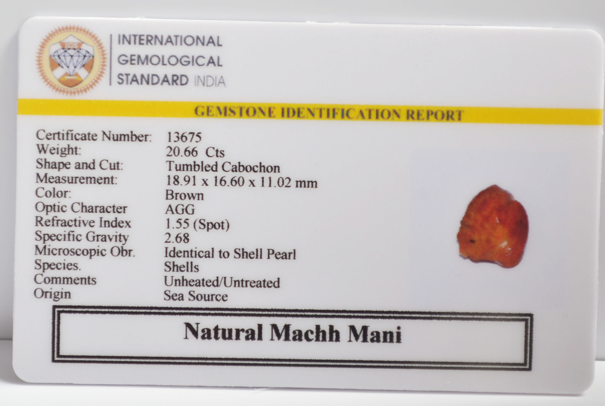 MACHH270K 2 scaled MACHH MANI 20.66 Ct.