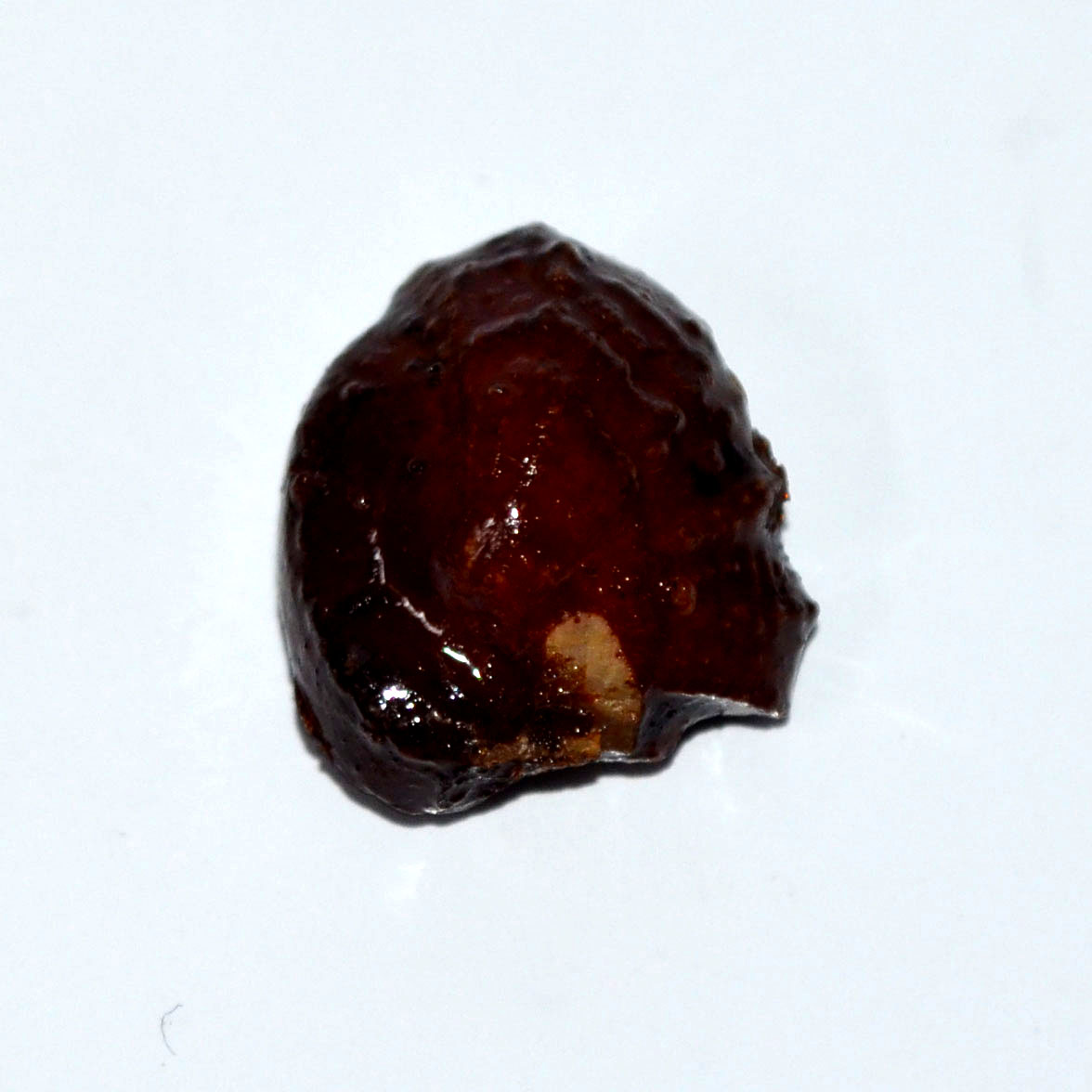 MACHH MANI 20.08 Ct.