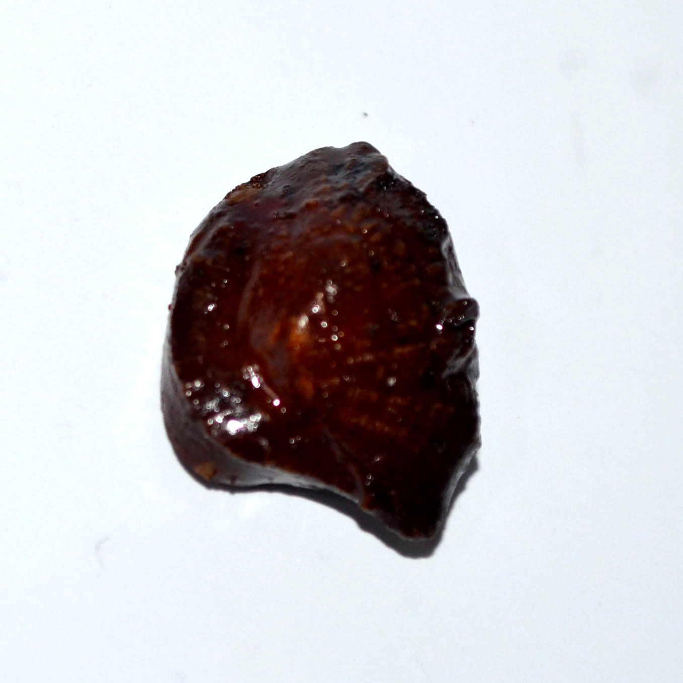MACHH MANI 22.23 Ct.