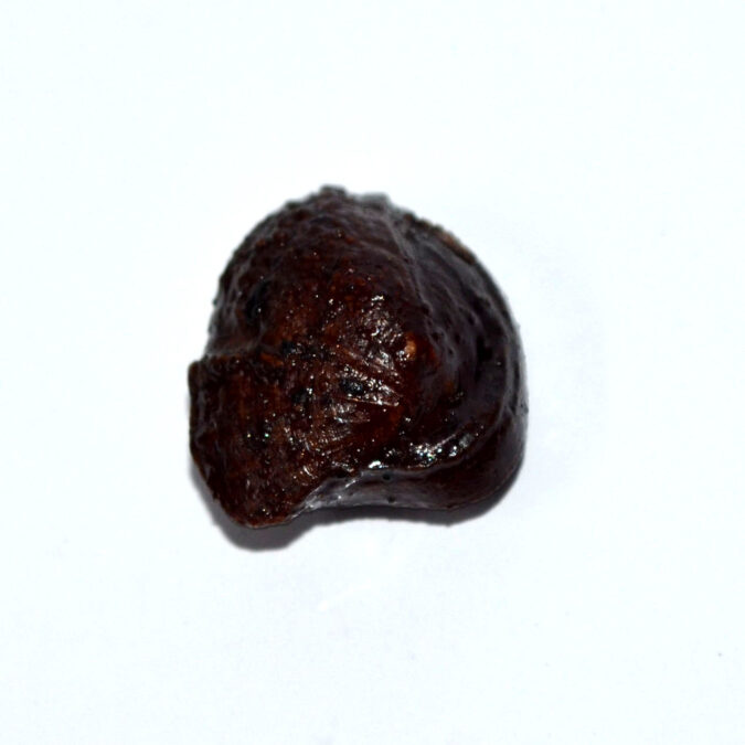 MACHH275K 1 MACHH MANI 14.96 Ct.
