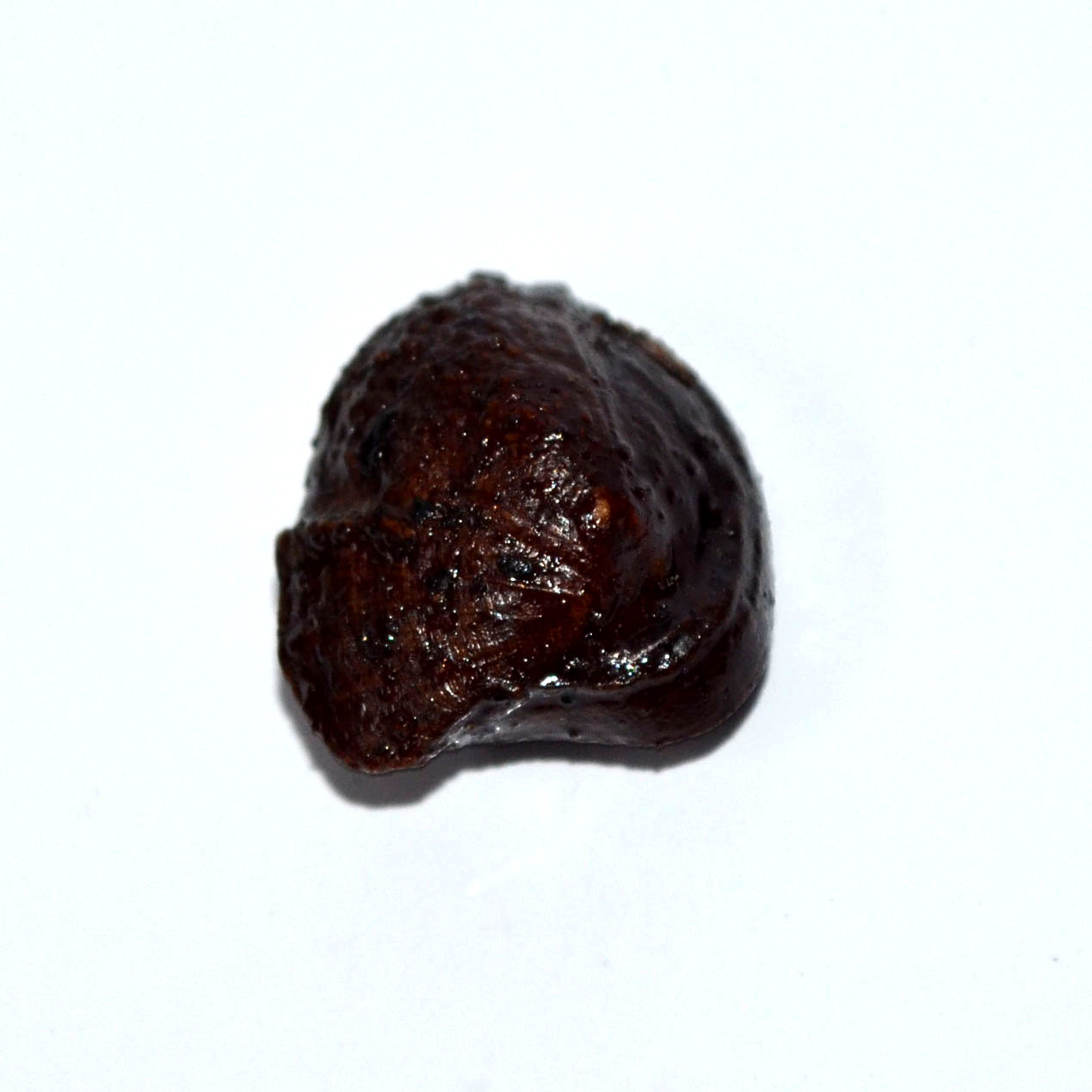MACHH MANI 14.96 Ct.