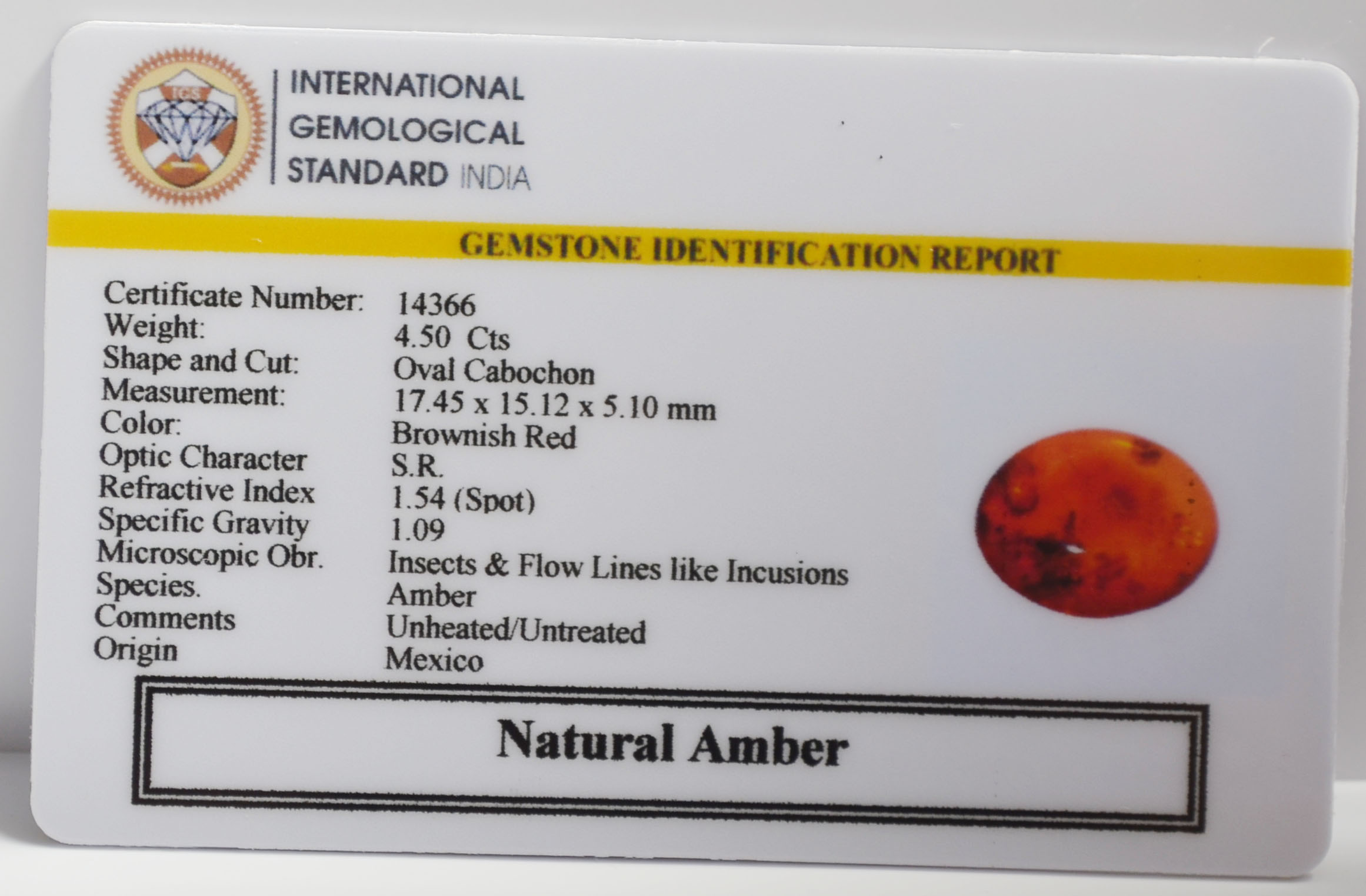 AMBER 4.5 Ct. 3 NA48 2 AMBER 4.5 Ct.