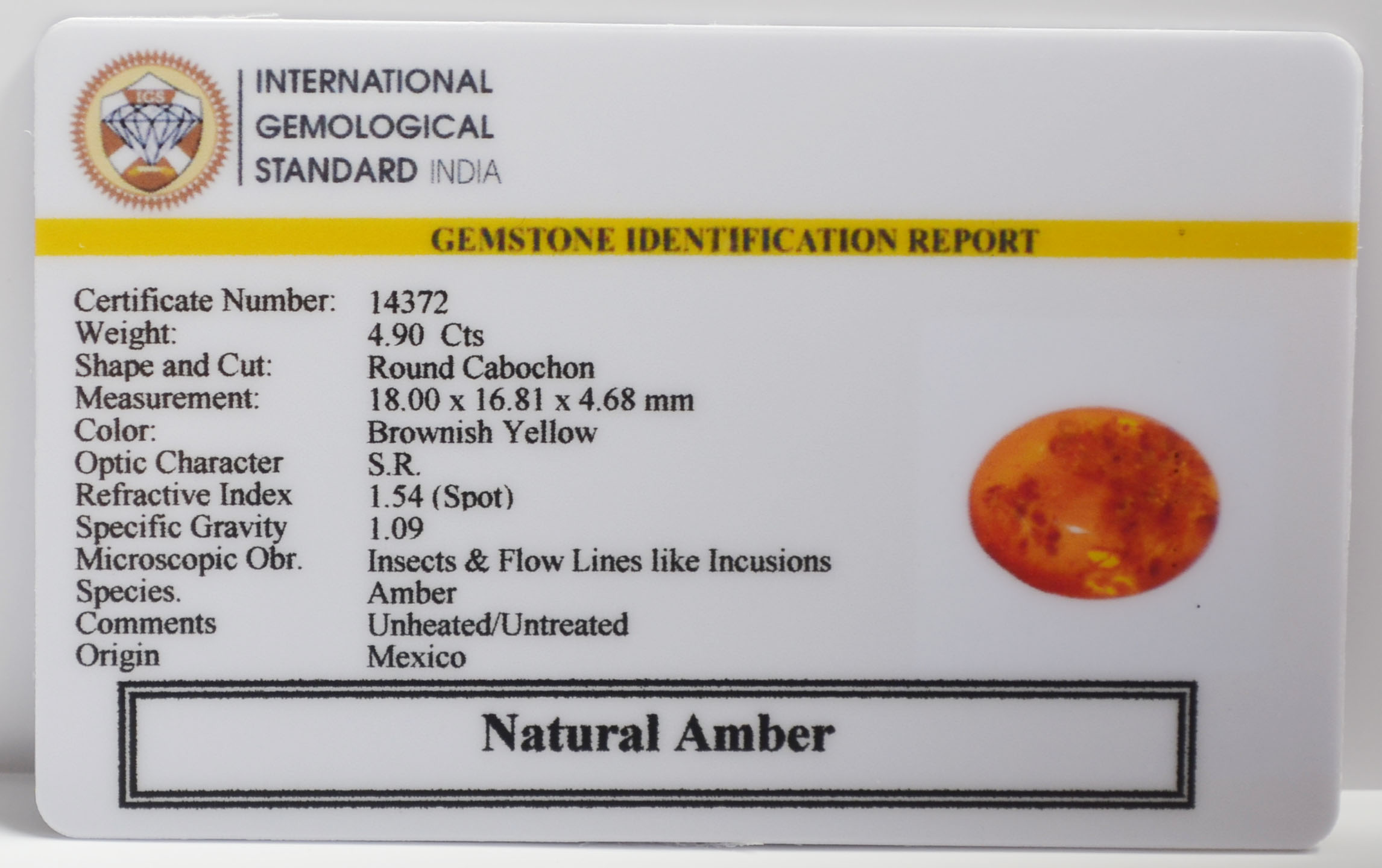 AMBER 4.9 Ct. 3 NA61 2 AMBER 4.9 Ct.