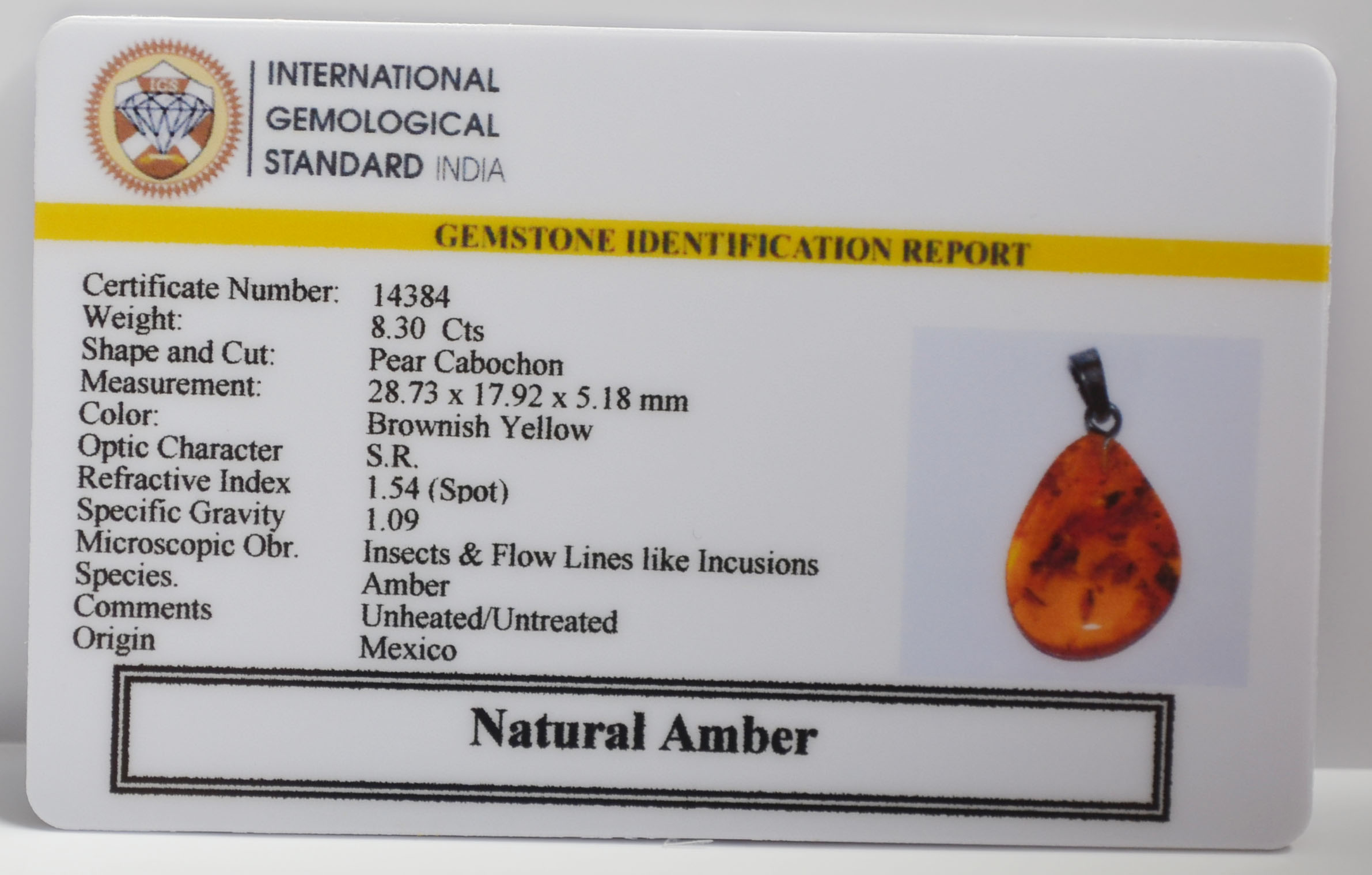 AMBER 8.3 Ct. 3 NA88 2 AMBER 8.3 Ct.