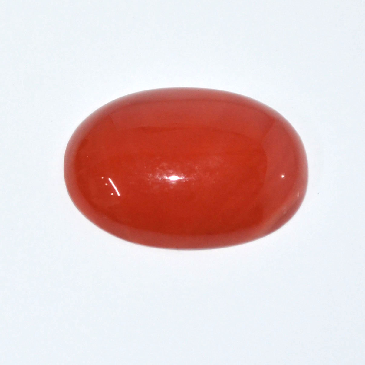 CORAL 16.75 Ct.