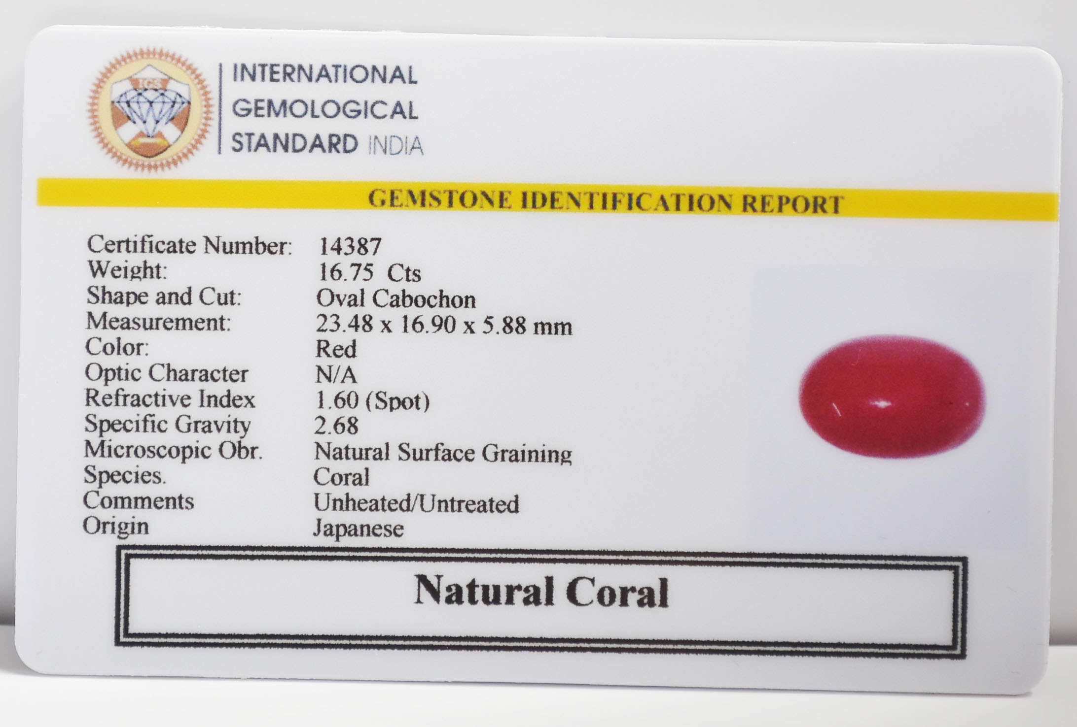 CORAL 16.75 Ct. 3 CRL6424K 2 CORAL 16.75 Ct.