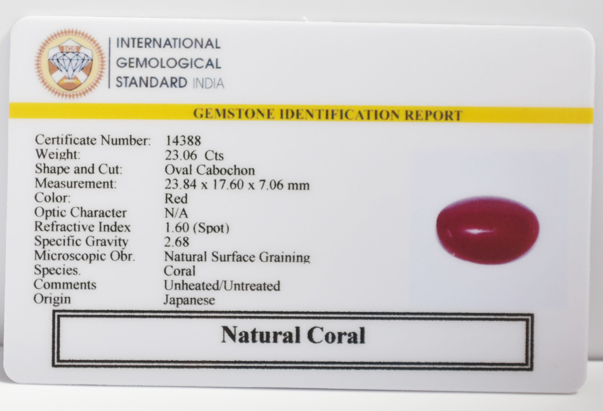 CORAL 23.06 Ct. 3 CRL6425K 2 CORAL 23.06 Ct.