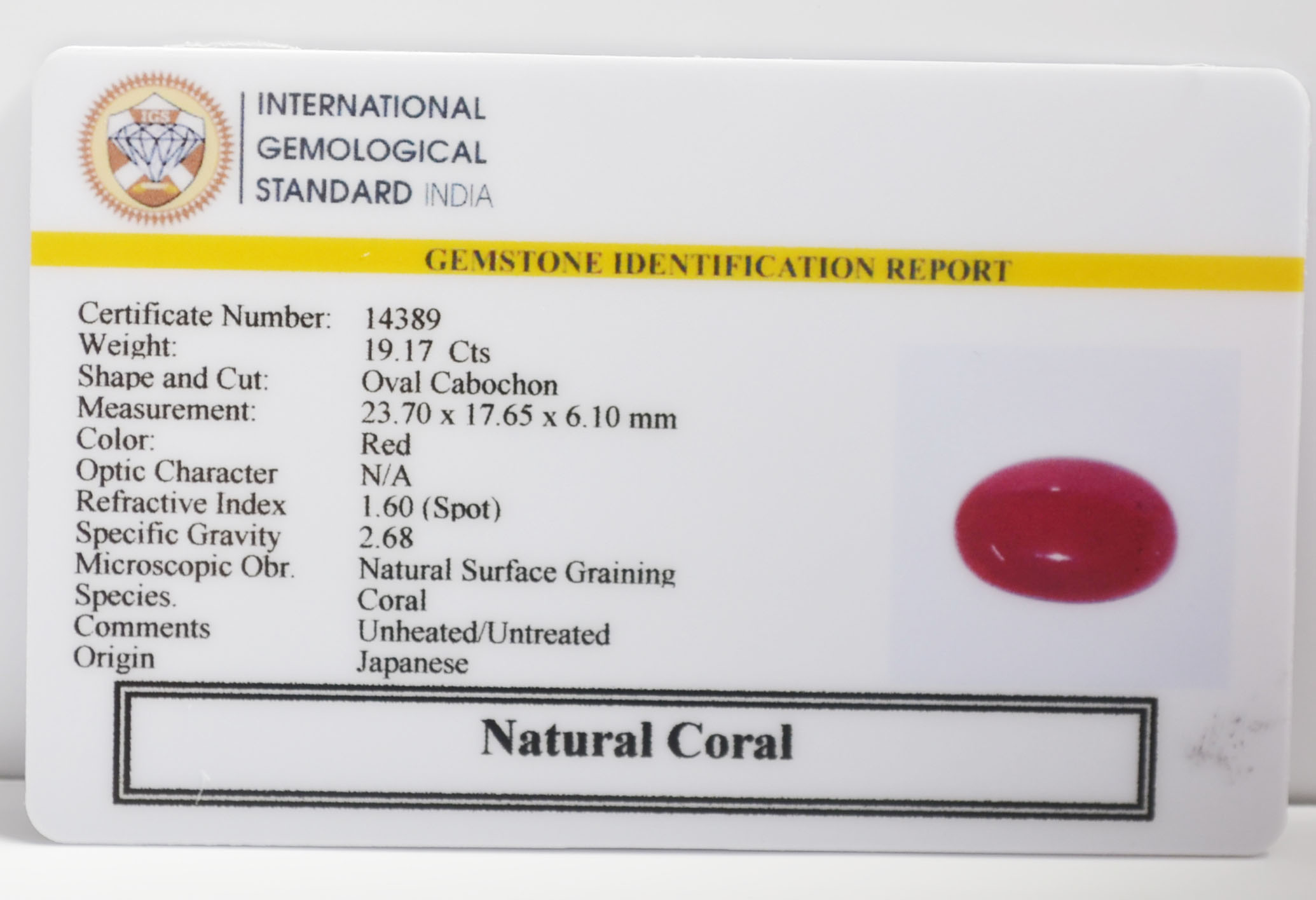 CORAL 19.17 Ct. 3 CRL6426K 2 CORAL 19.17 Ct.