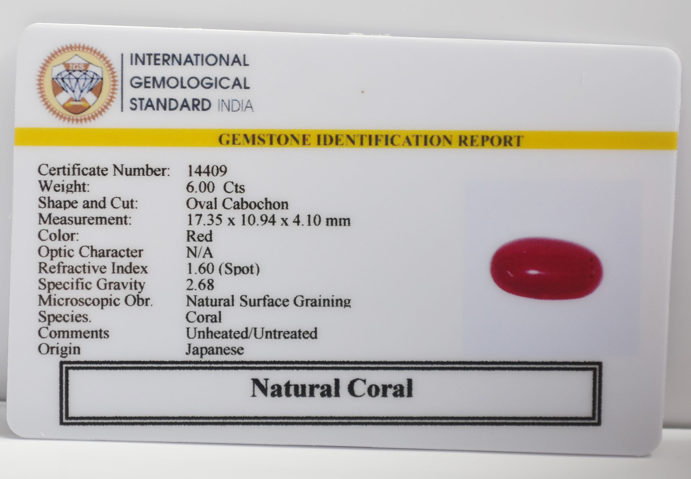 CORAL 6 Ct. 3 CRL6444K 2 CORAL 6 Ct.