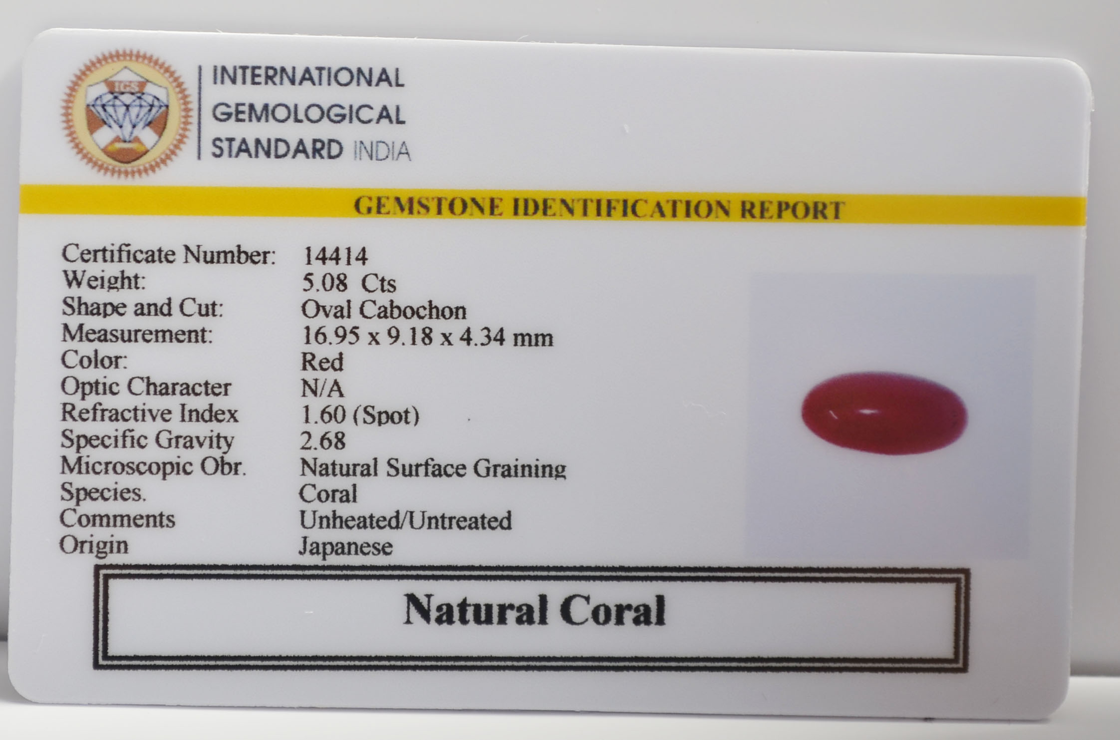 CRL6446K 2 CORAL 5.08 Ct.