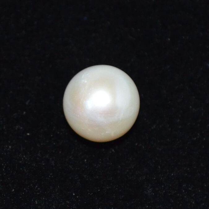 PEARL 8 Ct. 1 PRL7432K 1 PEARL 8 Ct.