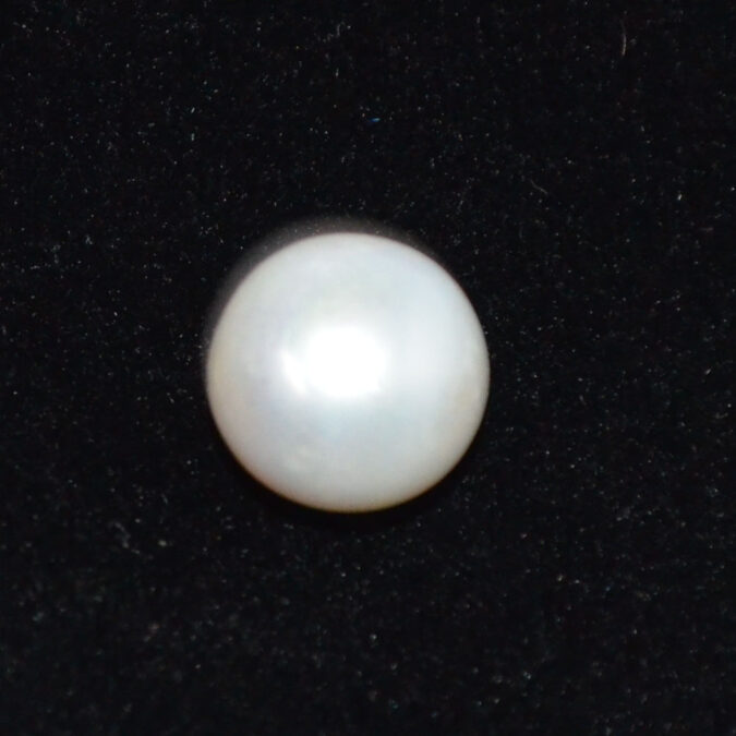 PEARL 7.56 Ct. 1 PRL7437K 1 PEARL 7.56 Ct.