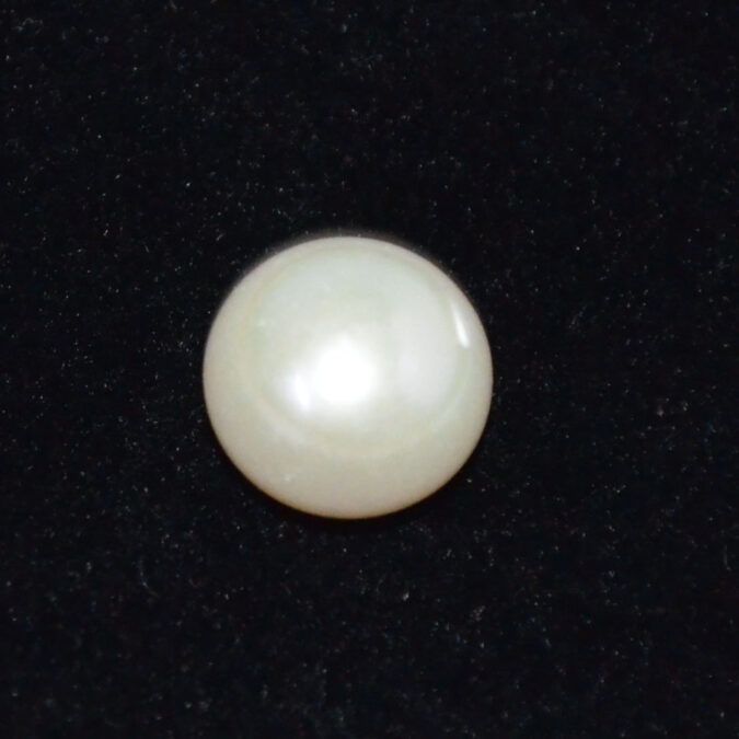 PEARL 7.1 Ct. 1 PRL7447K 1 PEARL 7.1 Ct.