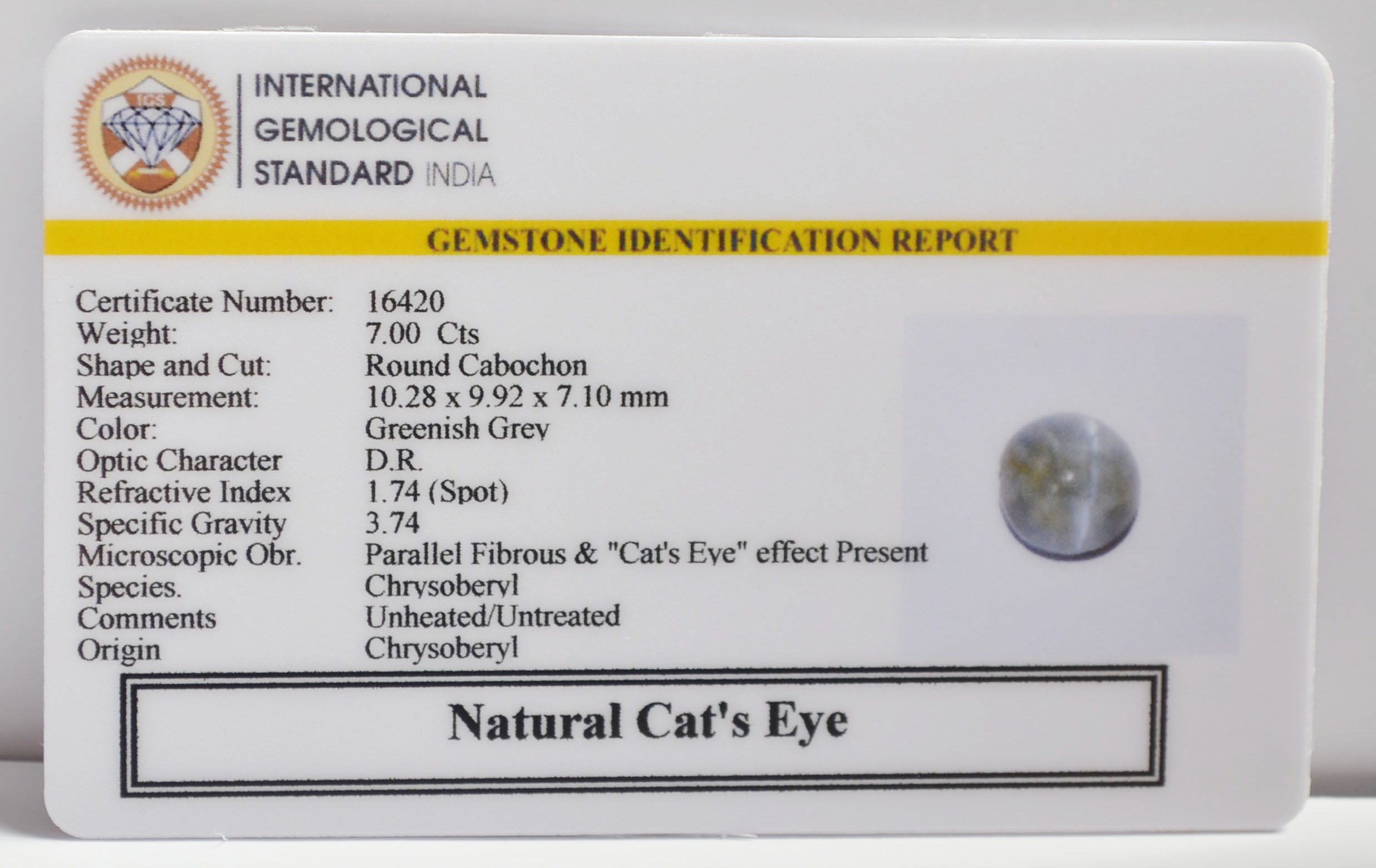 CATS EYE 7 Ct.
