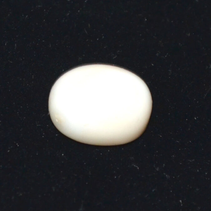 WHITE CORAL 8.65 Ct. WHITE CORAL 8.65 Ct.