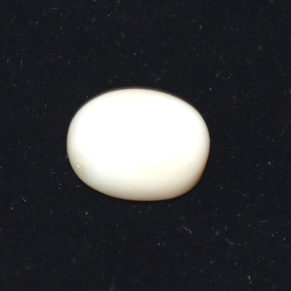 WHITE CORAL 8.65 Ct.