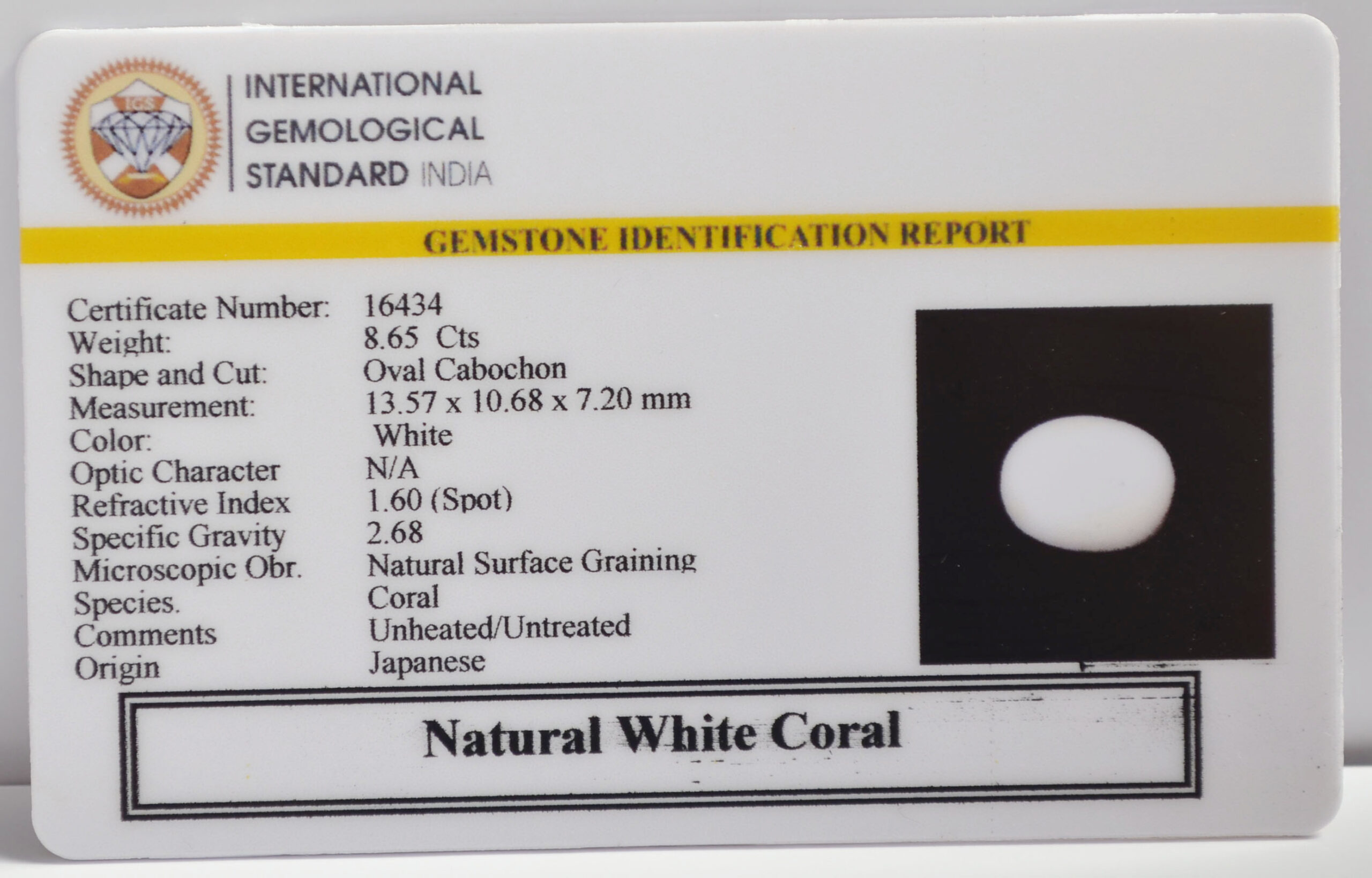 WHITE CORAL 8.65 Ct. WHITE CORAL 8.65 Ct.