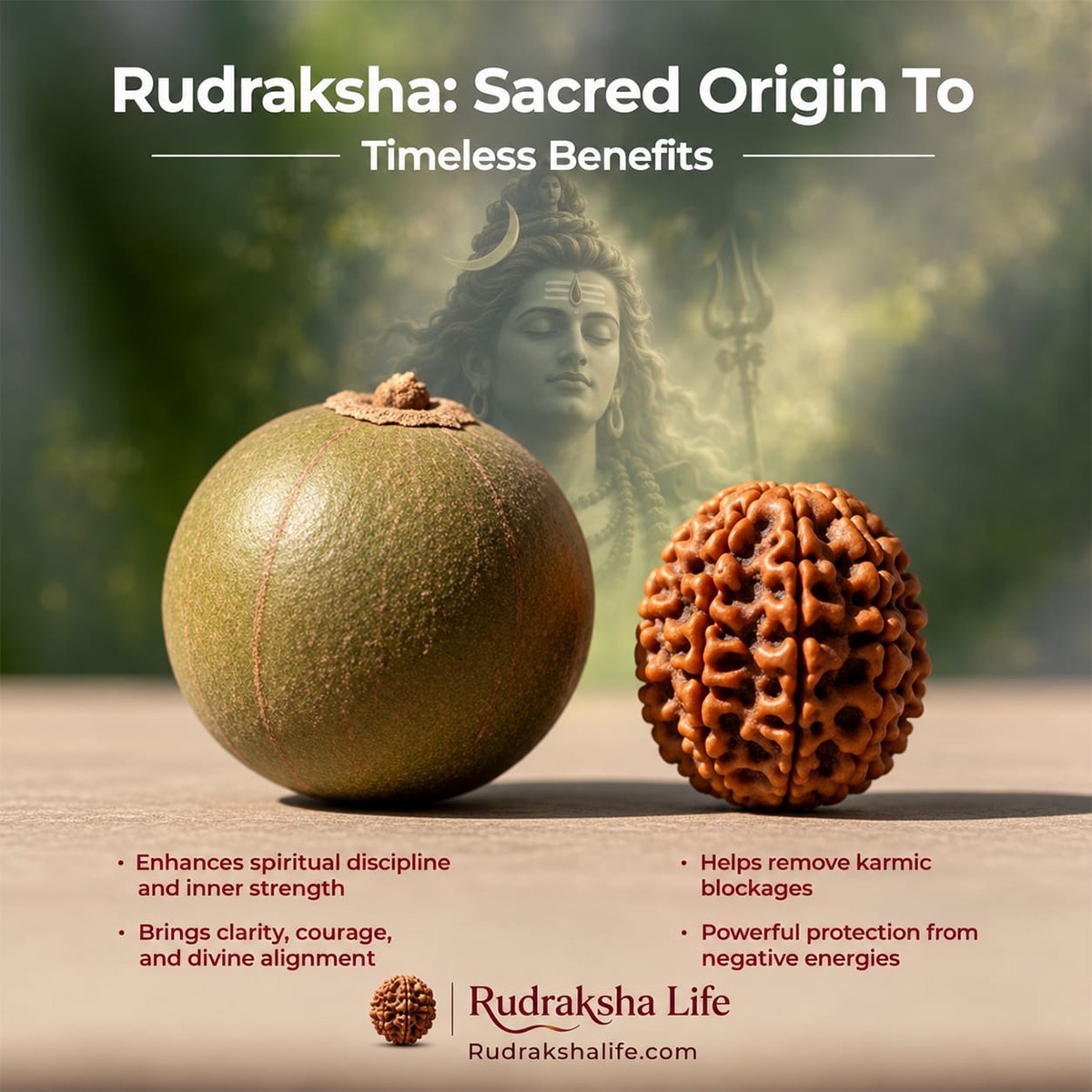 5 Mukhi Rudraksha bracelet 5 Mukhi Rudraksha bracelet